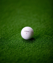 golf7